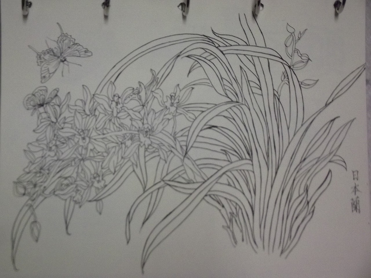 钢笔速写（图ZNTk1NjMyODg=） - 艺术插画 - 站酷设计师甲甲玲原创素材 - 站酷ZCOOL