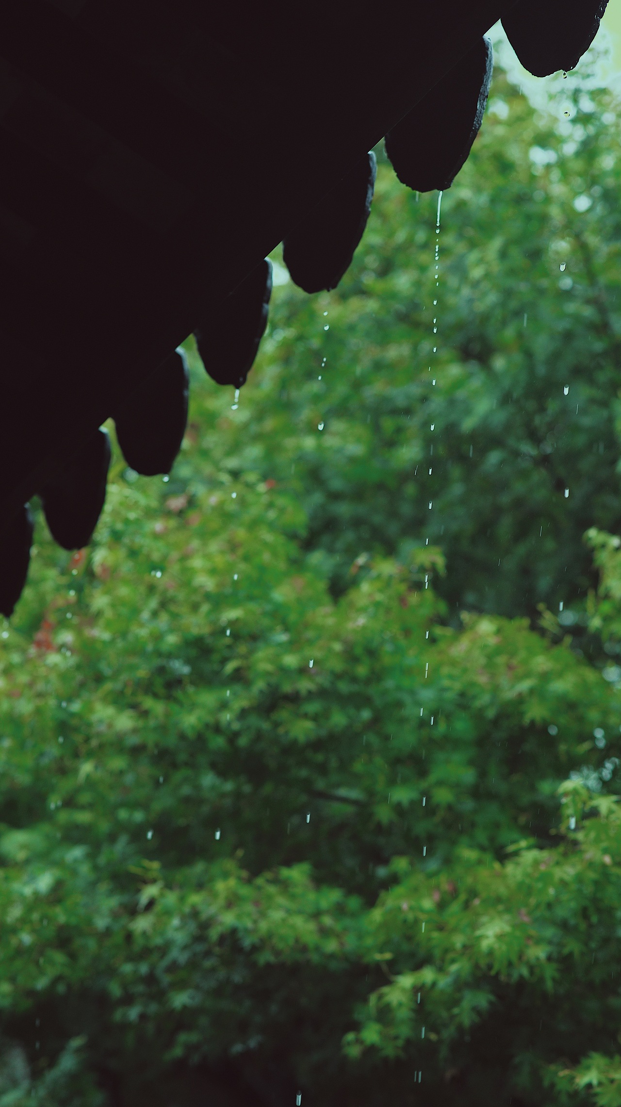 江南好 风景旧曾谙（图ZMTc2ODUyNjEy） - 风光摄影 - 站酷设计师安小隅原创素材 - 站酷ZCOOL