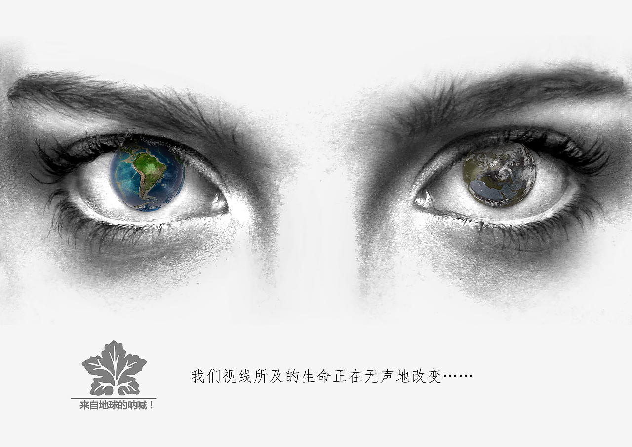 绿色行动海报画册