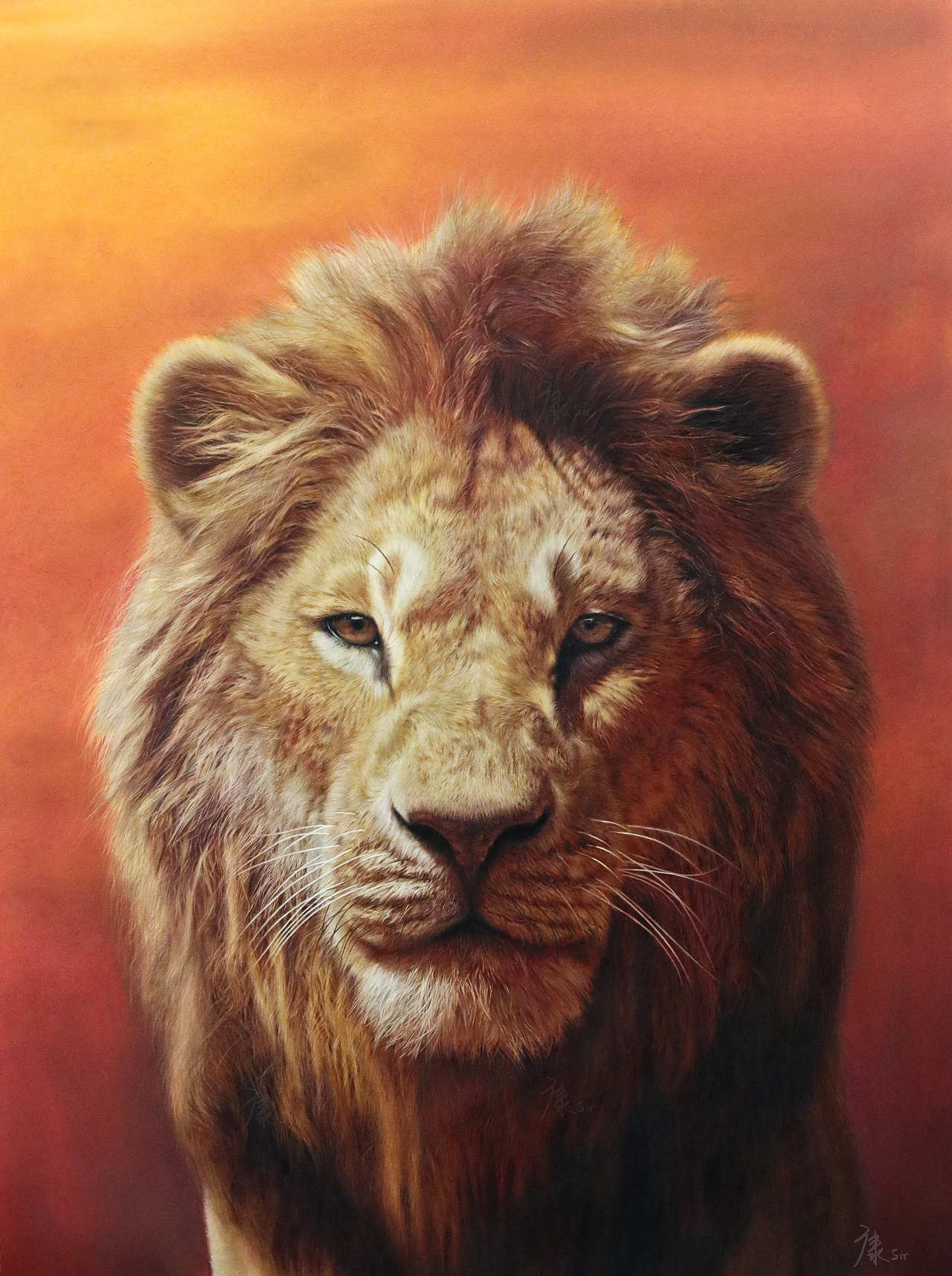 彩铅手绘 狮子|纯艺术|绘画|康sir彩铅 - 原创作品 - 站酷 (zcool)