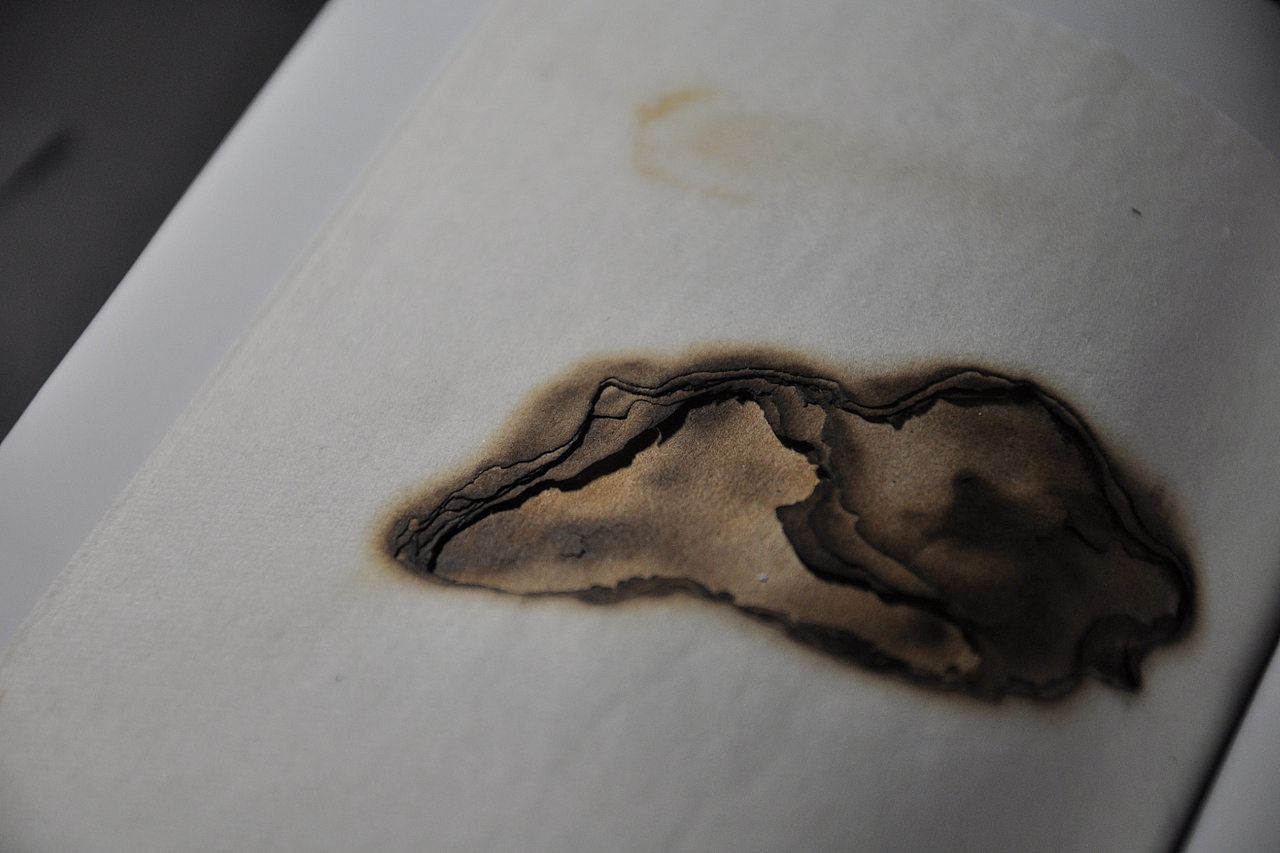 自然的痕迹 —— 迟来的毕业设计