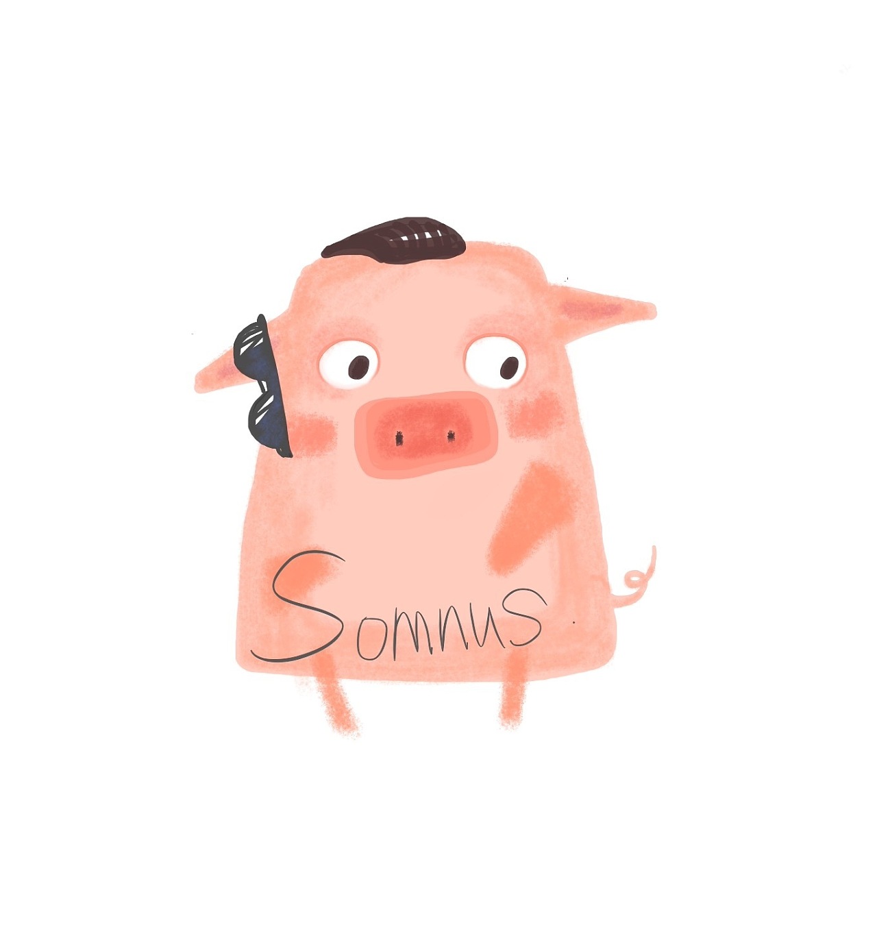 猪|平面|吉祥物|somnus19890902 - 原创作品 - 站酷 (zcool)