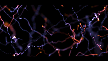 一野川的個人主頁（封面預(yù)覽） - 主頁封面設(shè)置 - 站酷設(shè)計師一野川原創(chuàng)素材 - 站酷ZCOOL