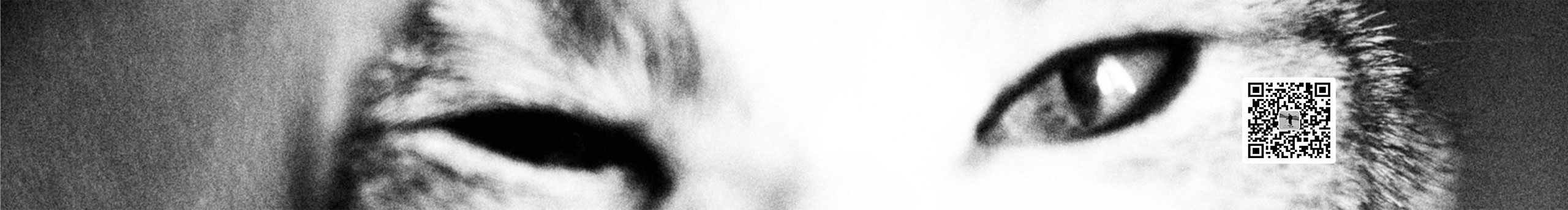 藤布疼的个人主页（封面预览） - 主页封面设置 - 站酷设计师藤布疼原创素材 - 站酷ZCOOL