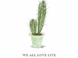 一组清新小盆栽