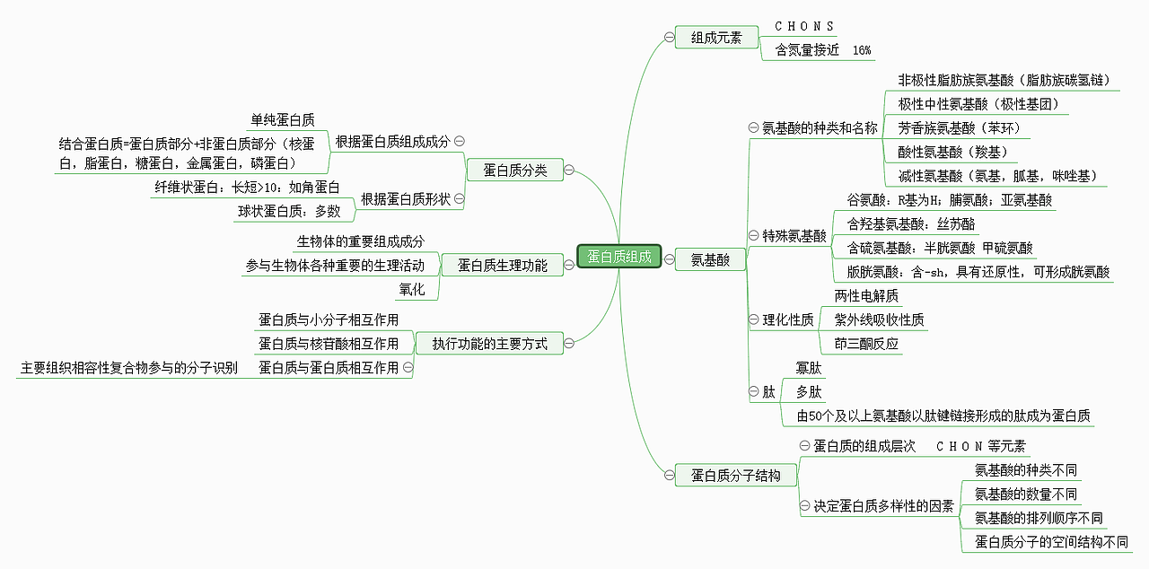 蛋白质组成思维导图一迅捷画图