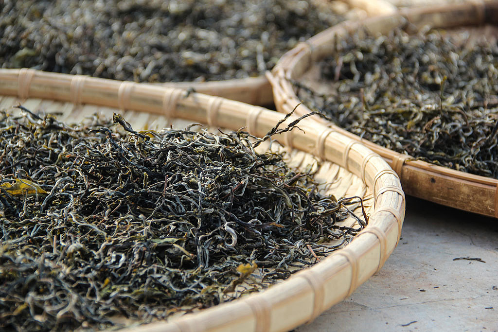 制作工序——晒干 br>利用阳光将揉捻后的茶菁薄摊开,晒至茶叶含水量