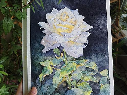 水彩花卉
