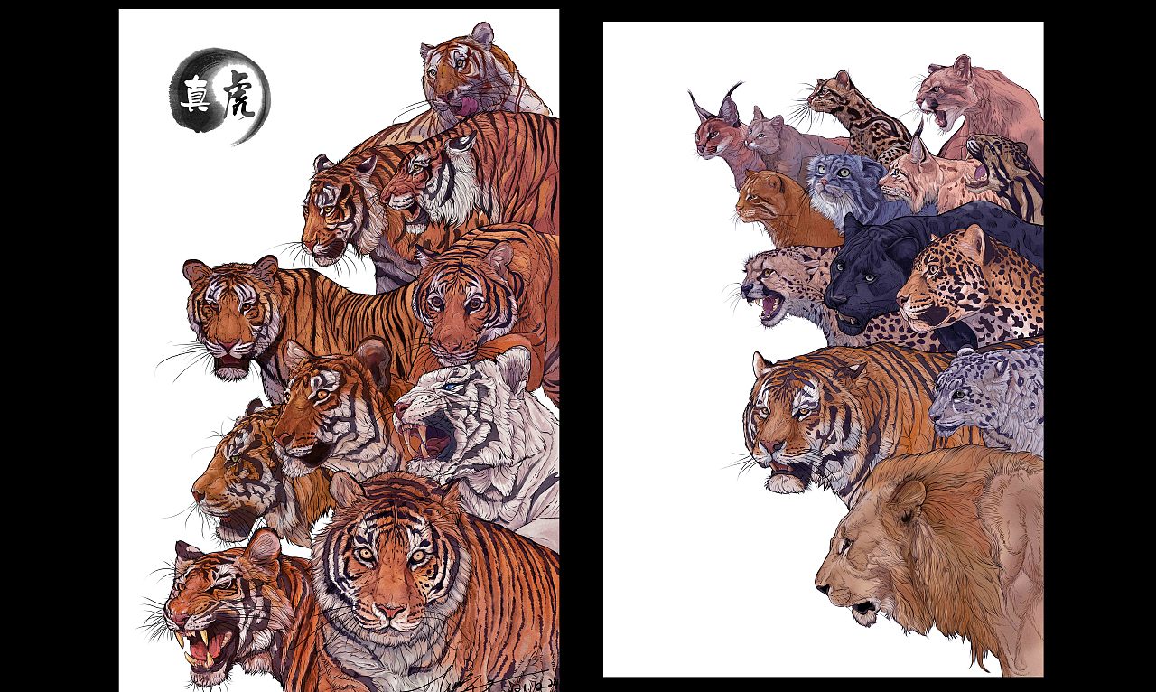 动物插画《真丶虎》系列(图ZMjgzMTUwNDk2) - 艺术插画 - 站酷设计师狮子大亨原创素材 - 站酷ZCOOL