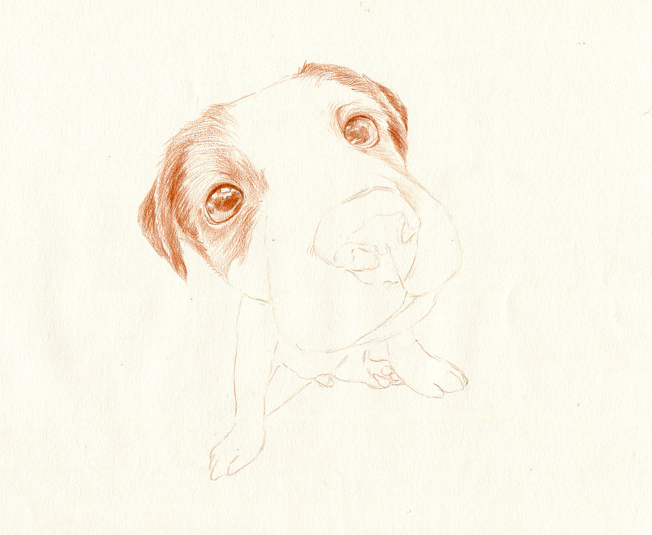 彩铅狗狗——杰克罗素梗犬（图ZMzU5NTAwMDA=） - 绘画 - 站酷设计师箐莜菲菲原创素材 - 站酷ZCOOL