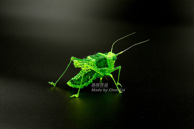 ck:3d打印笔作品之昆虫篇|纯艺术|绘画|凯撒世界 - 原创作品 - 站酷