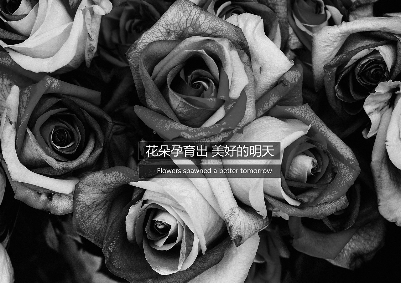 金玛艾诺艾斯标志设计（图ZNTc2NzA3MjQ=） - 品牌 - 站酷设计师栾东原创素材 - 站酷ZCOOL
