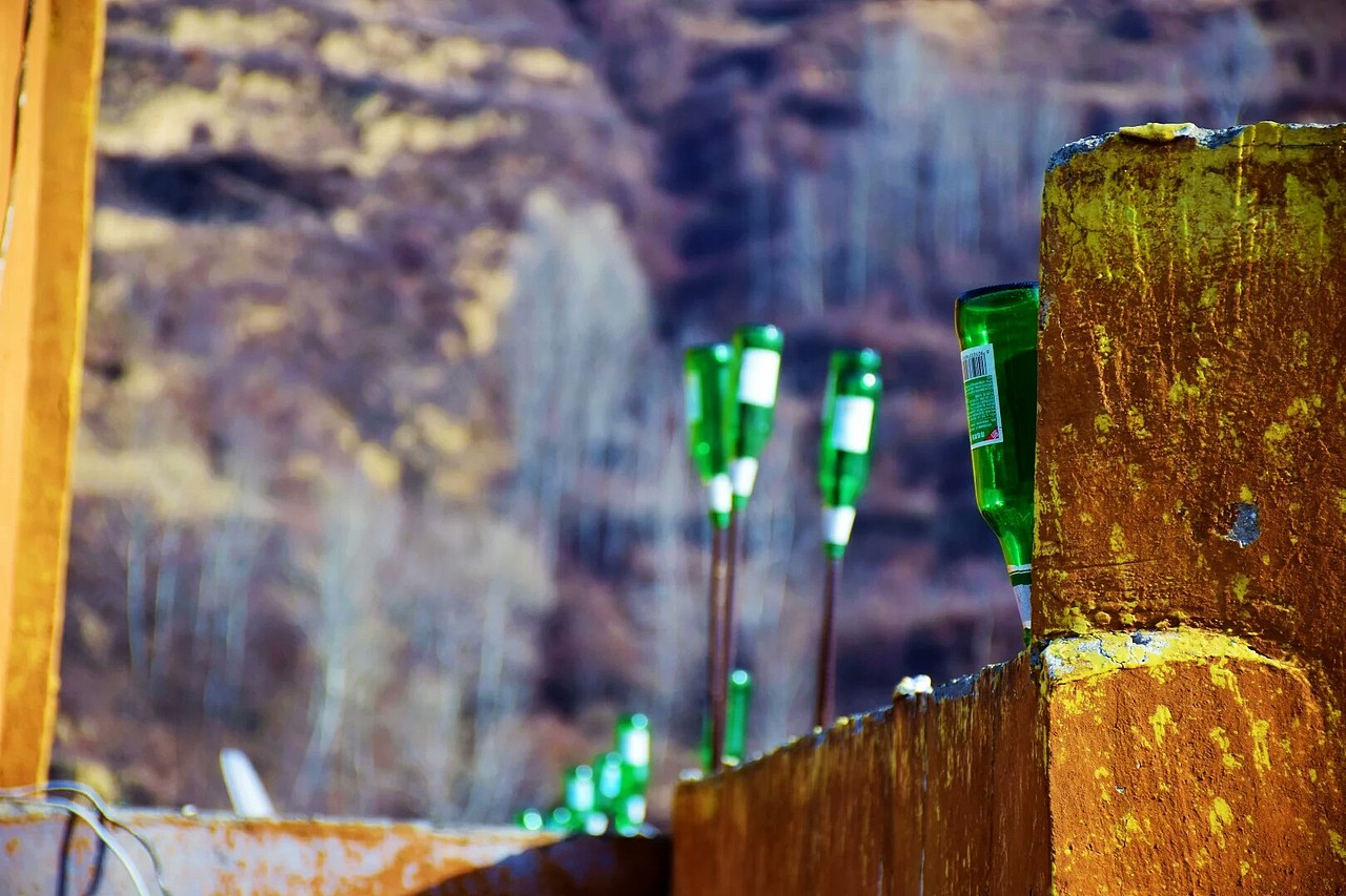 单反摄影习作与日常