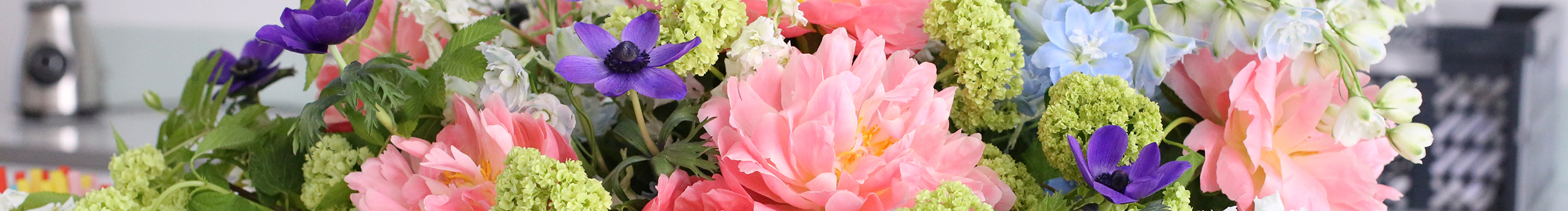 morningida的个人主页（封面预览） - 主页封面设置 - 站酷设计师morningida原创素材 - 站酷ZCOOL