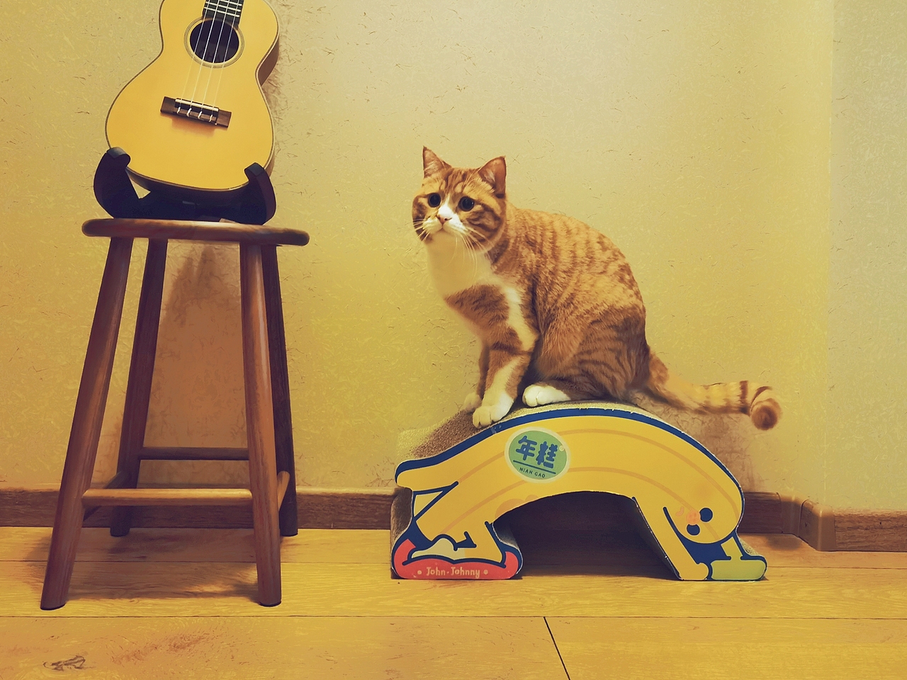 年糕猫抓板联名|工业/产品|生活用品|约翰强尼_原创作品-站酷zcool