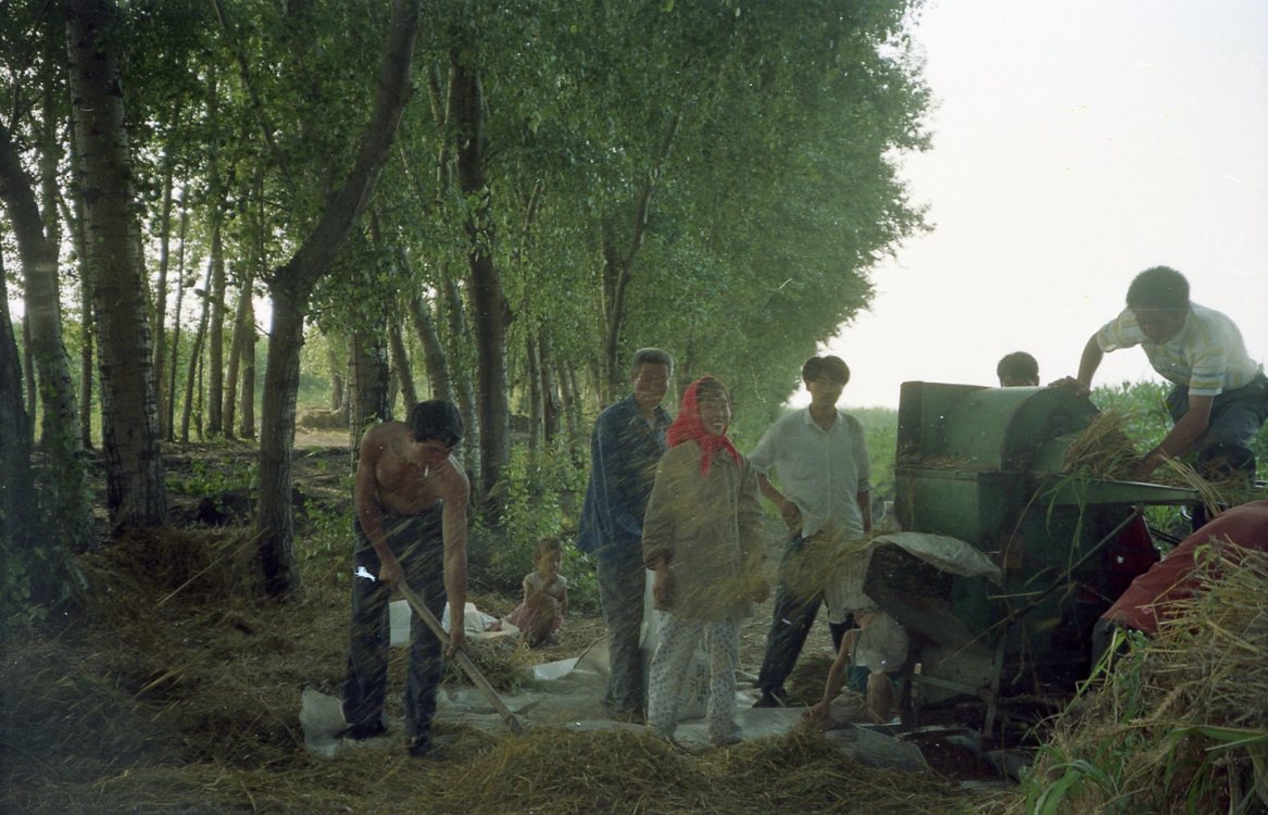 90年代的农村照片图片