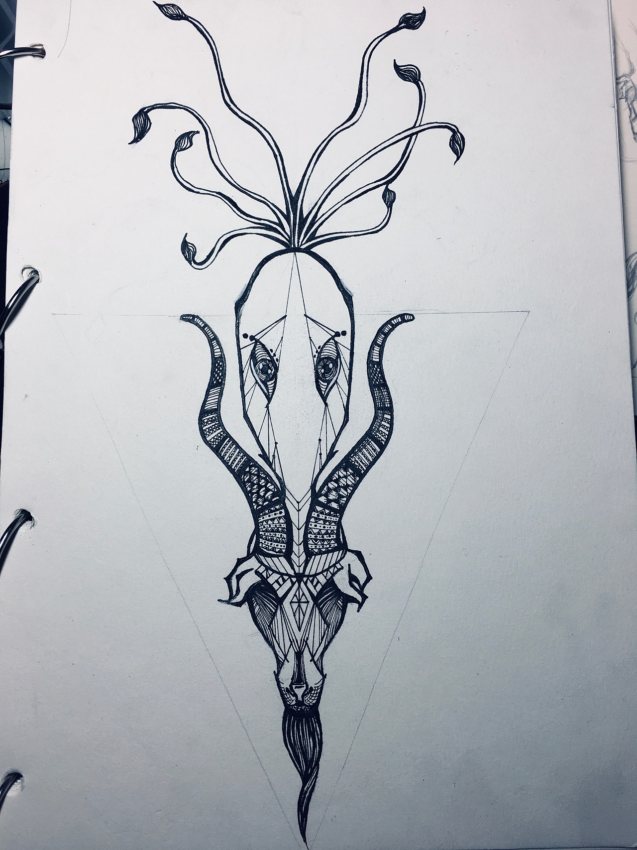 插画| 山海经 猼訑