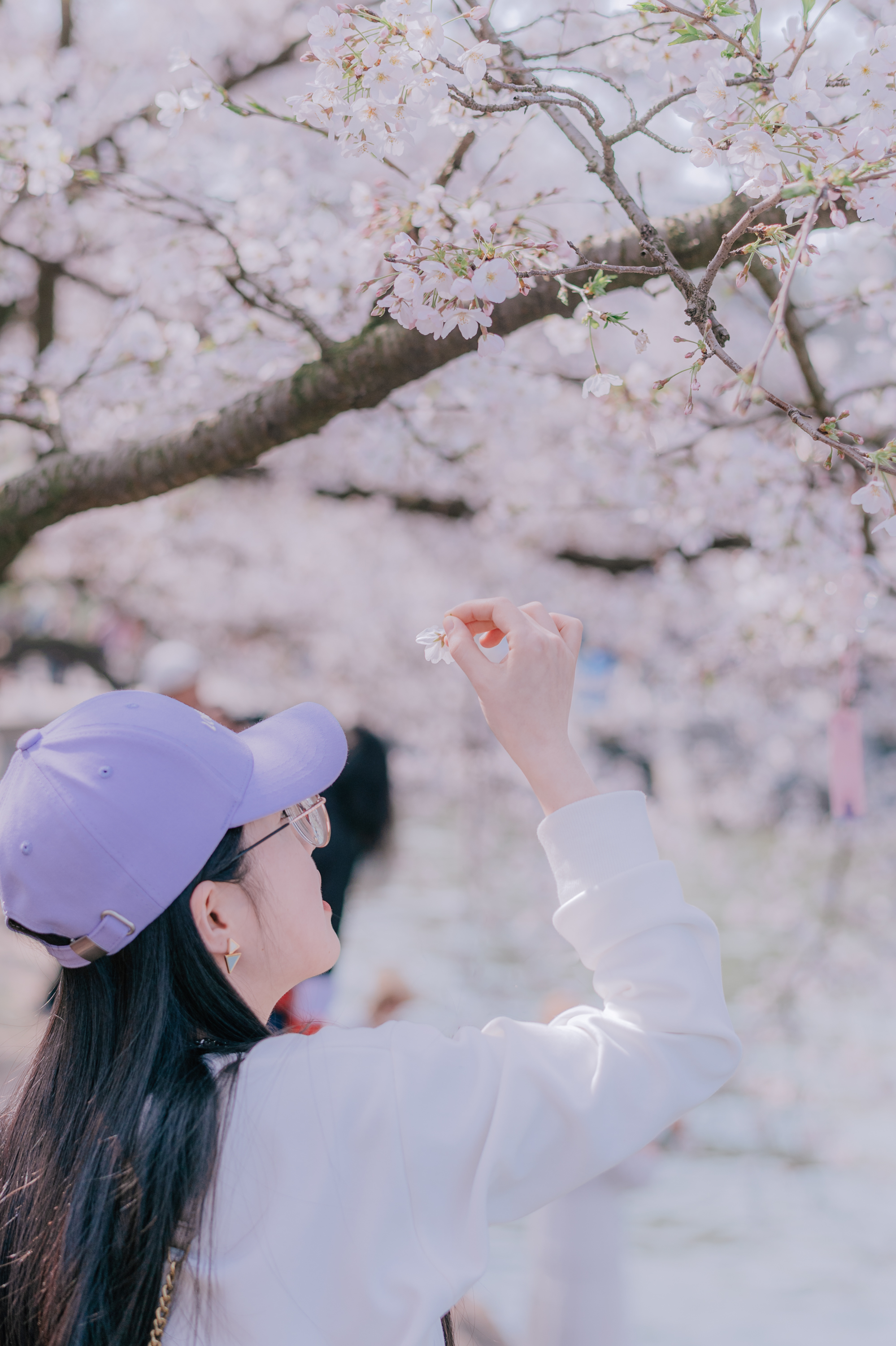 宜兴摄影师Klose的个人主页（封面预览） - 主页封面设置 - 站酷设计师宜兴摄影师Klose原创素材 - 站酷ZCOOL