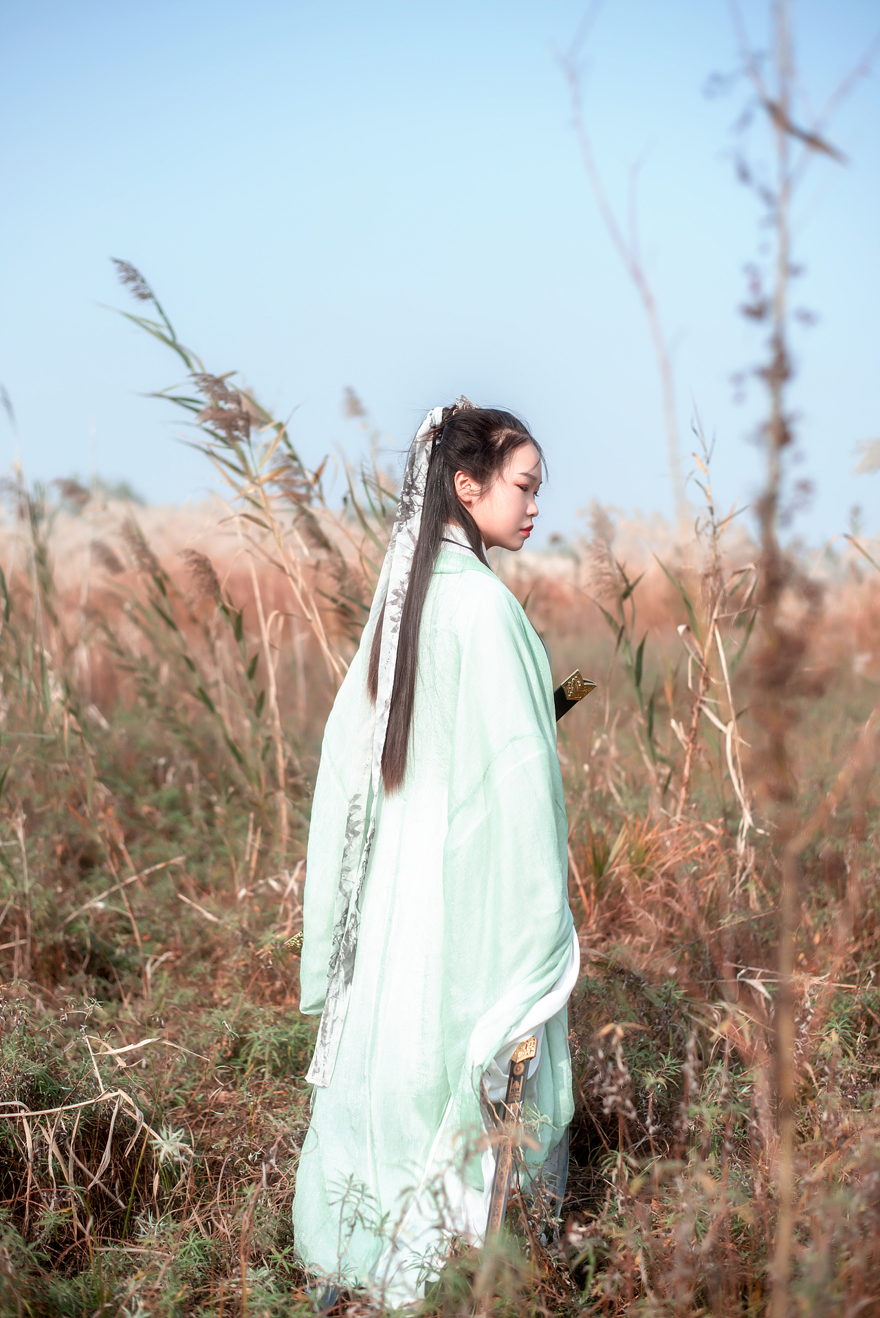 南京滁河风光带芦苇古风摄影约拍