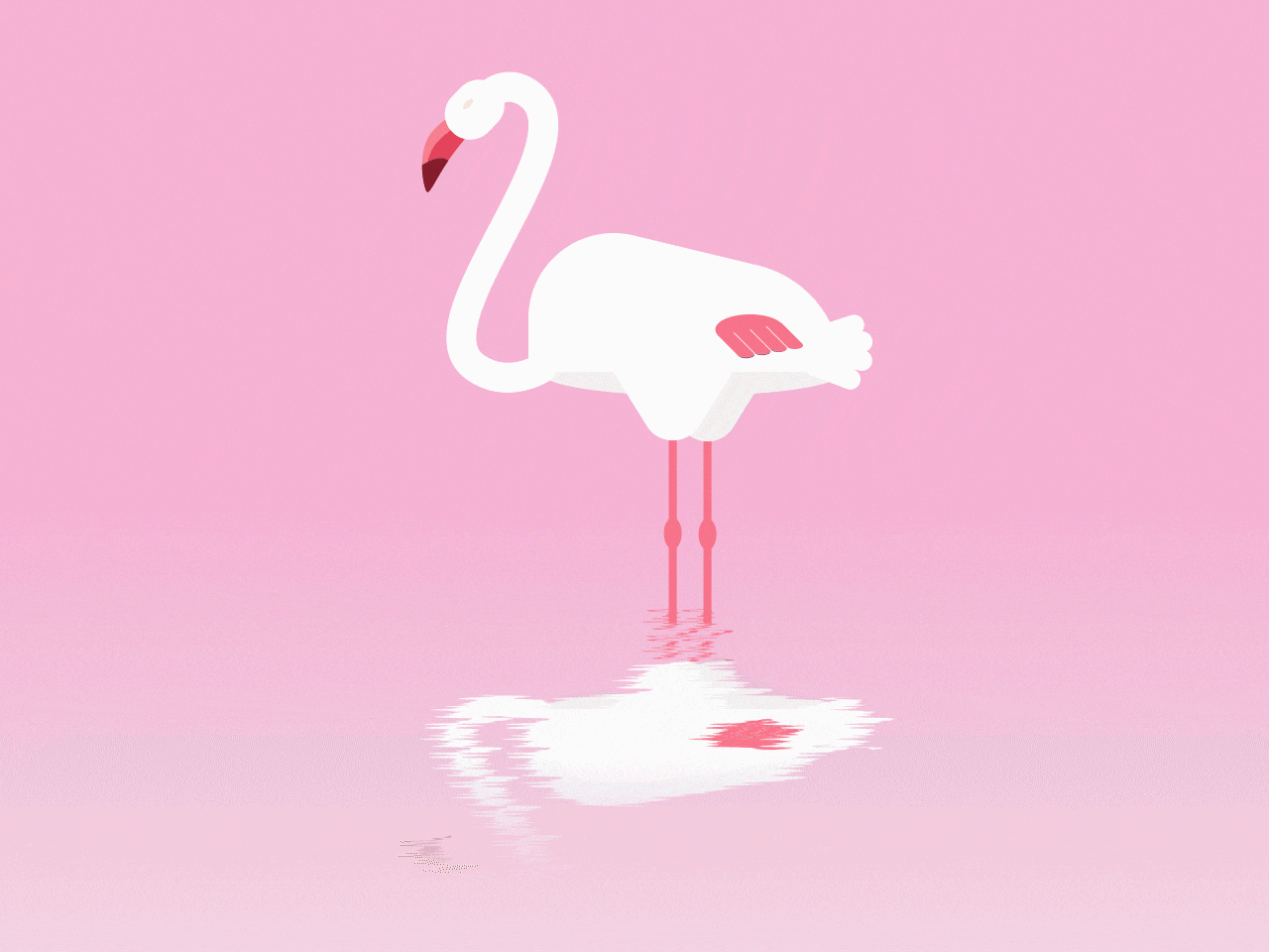 1280_960gif 动态图 动图