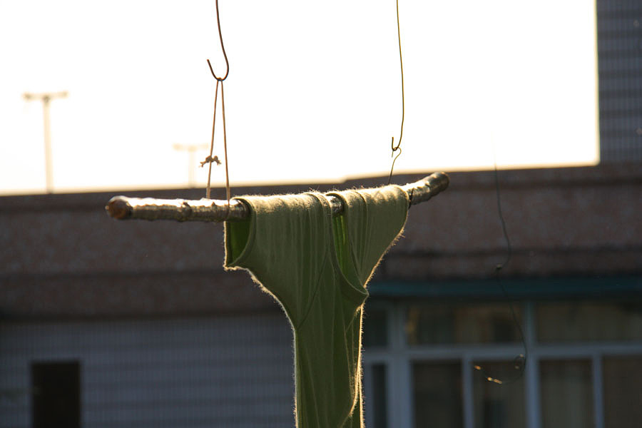 秋日午后 Donatello fratin' WALL-E