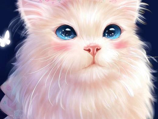 漂亮小猫绘画完成