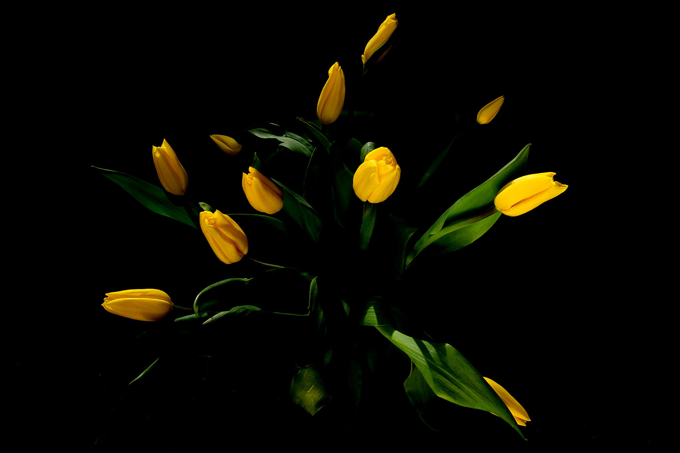 SHIRLEYLIN615的個人主頁（封面預(yù)覽） - 主頁封面設(shè)置 - 站酷設(shè)計師SHIRLEYLIN615原創(chuàng)素材 - 站酷ZCOOL