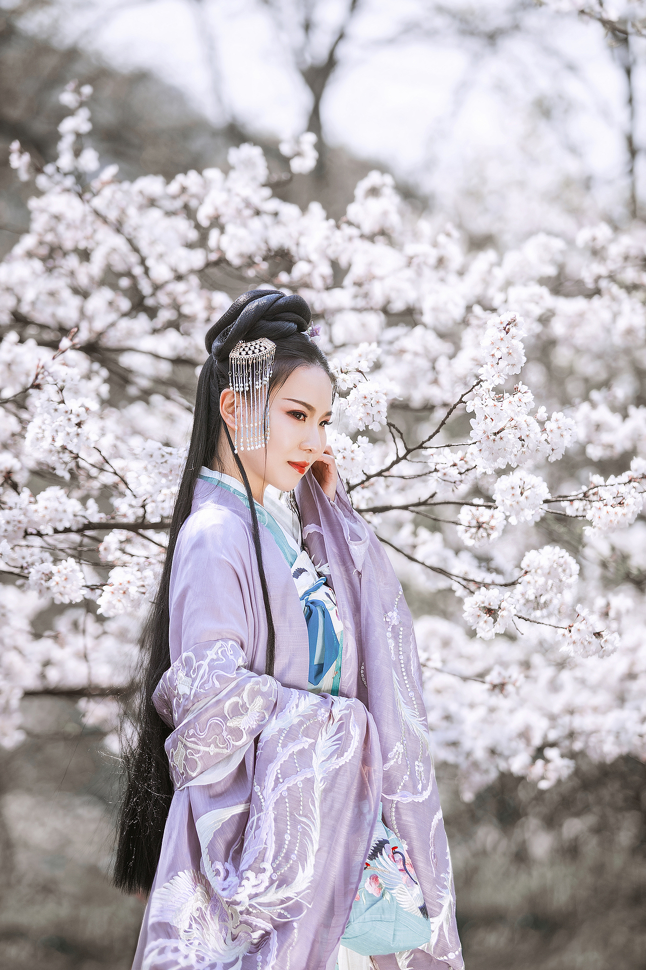 樱花（图ZMTUzMDg5NzIw） - 人像摄影 - 站酷设计师Hansiy原创素材 - 站酷ZCOOL