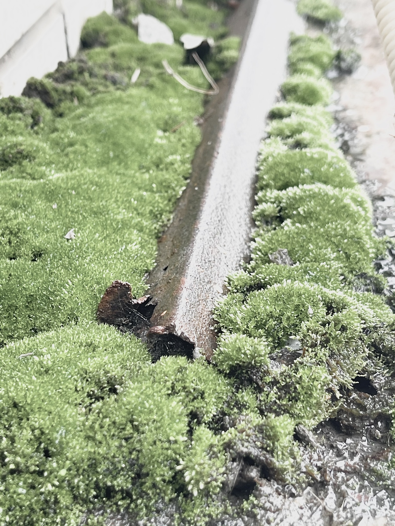 路上（图ZMjY5NDQyNTQ0） - 人文/纪实摄影 - 站酷设计师黑月NING原创素材 - 站酷ZCOOL