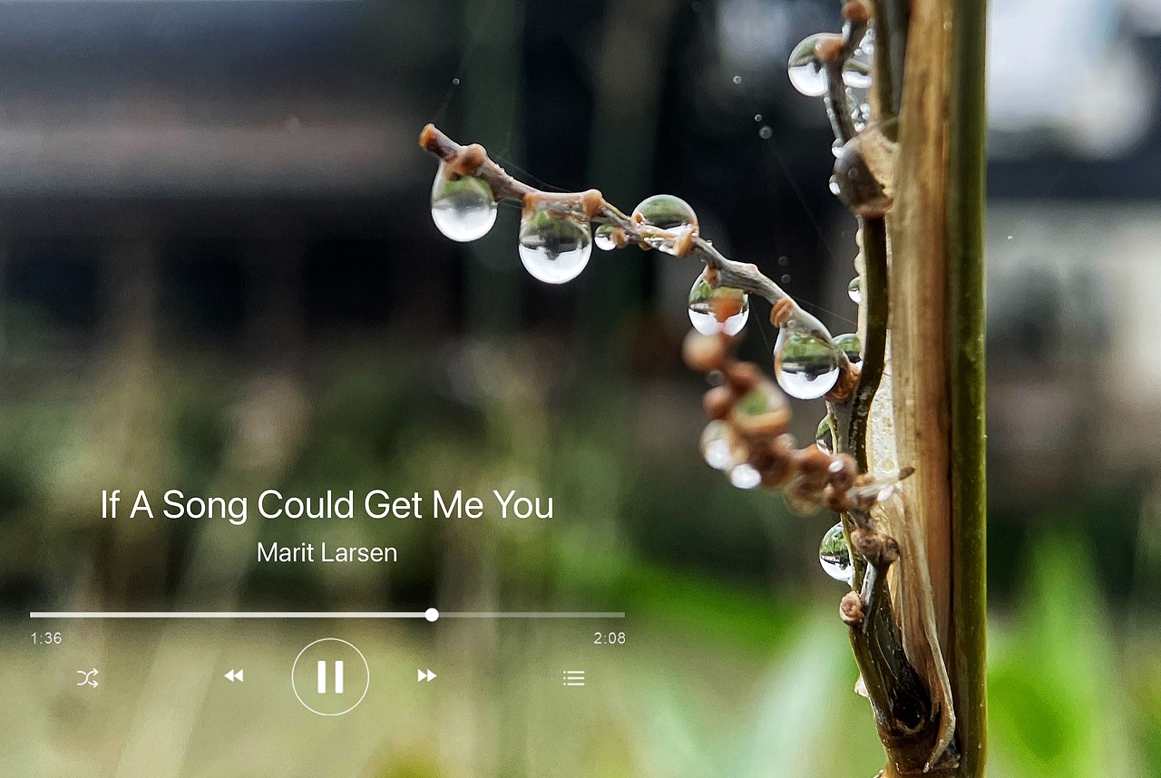 摄影作品4-花草/雨露