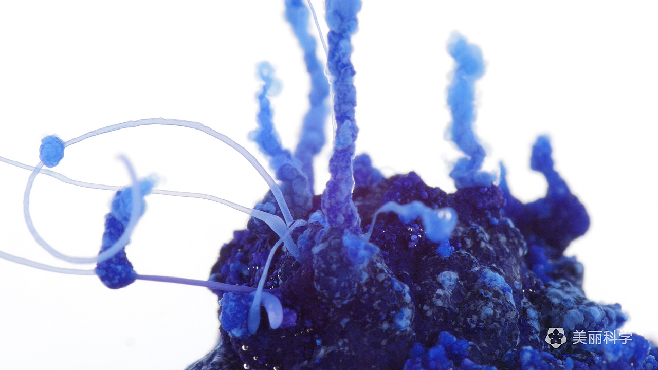 金属盐被硅酸钠溶液唤醒,变身为异星生物.