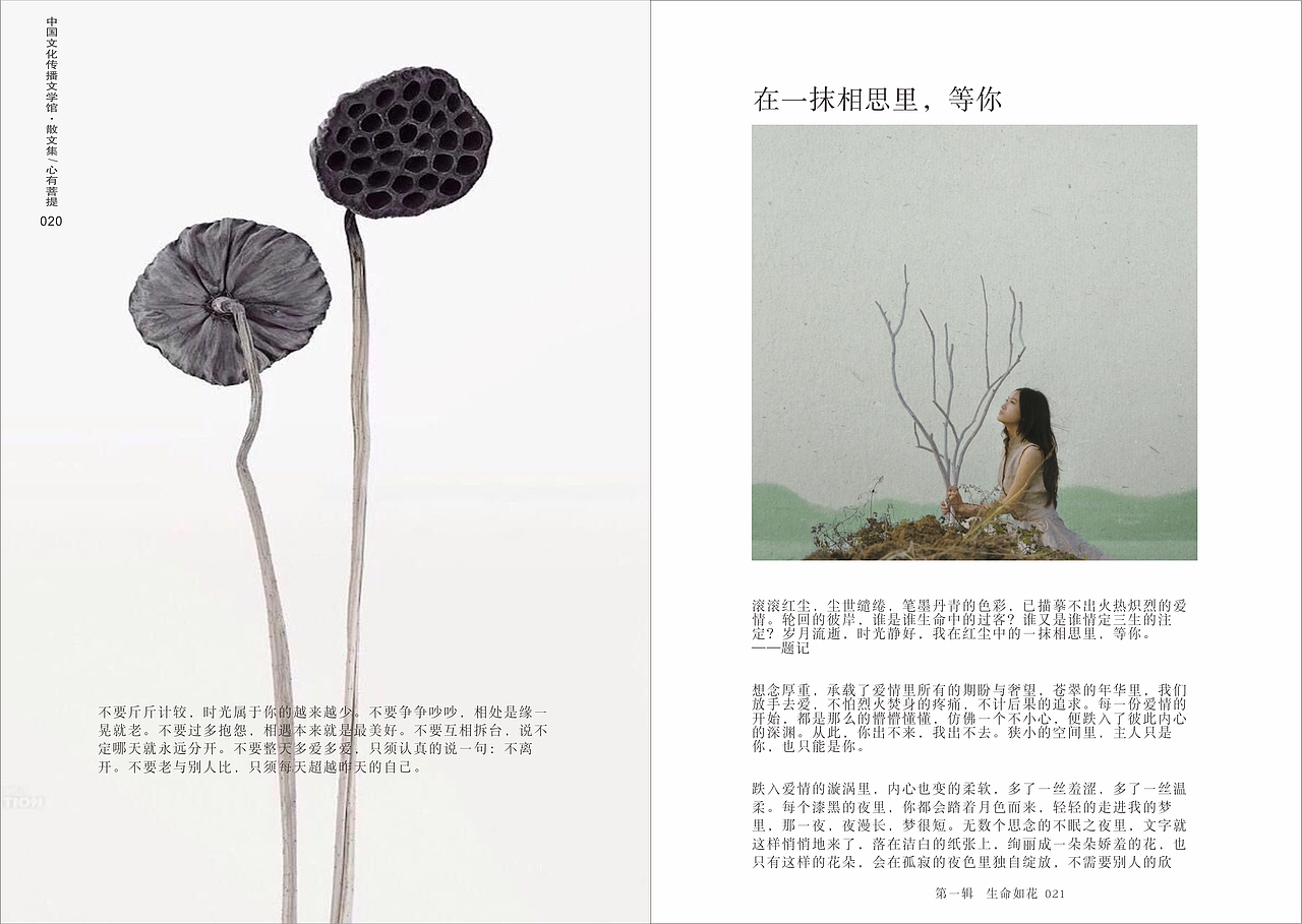 心若菩提书籍装帧设计（图ZODU0NTQ0OTI=） - 书籍/画册 - 站酷设计师乖小猫咪朵朵莱原创素材 - 站酷ZCOOL