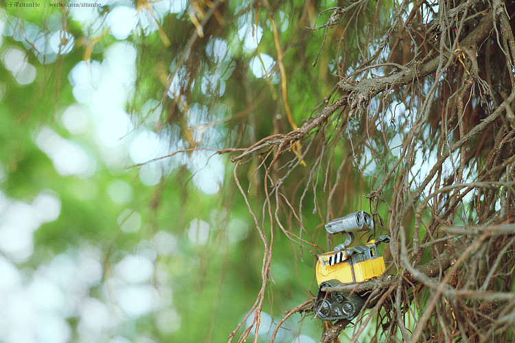 下个，路口，见。（图ZMTY0NzE3Mjg=） - 人文/纪实摄影 - 站酷设计师子弹zitanhe原创素材 - 站酷ZCOOL