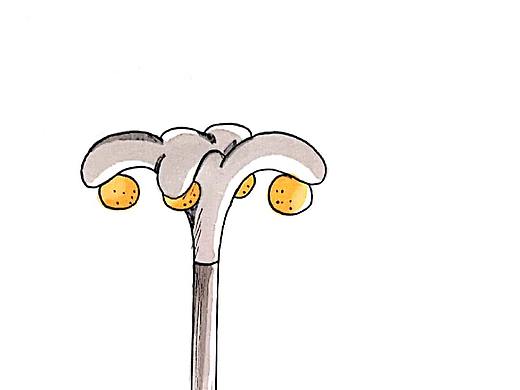 环境设施设计（随堂作业）