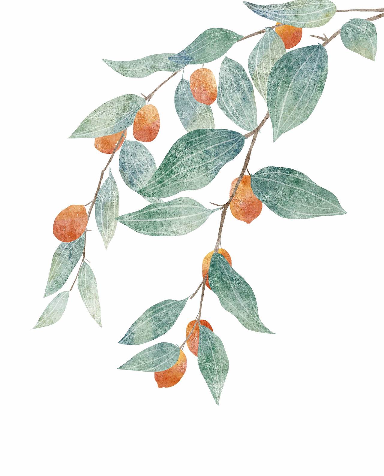 一组小清新植物（图ZMTU4NjEwODk2） - 创作习作 - 站酷设计师菲非Fiona原创素材 - 站酷ZCOOL