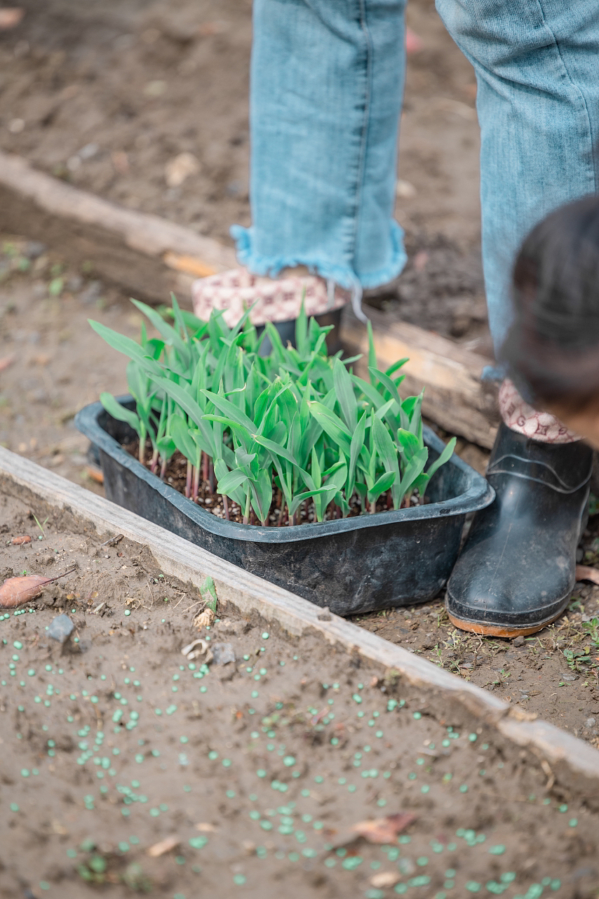 森海幼儿园-🌈春耕初体验🌽