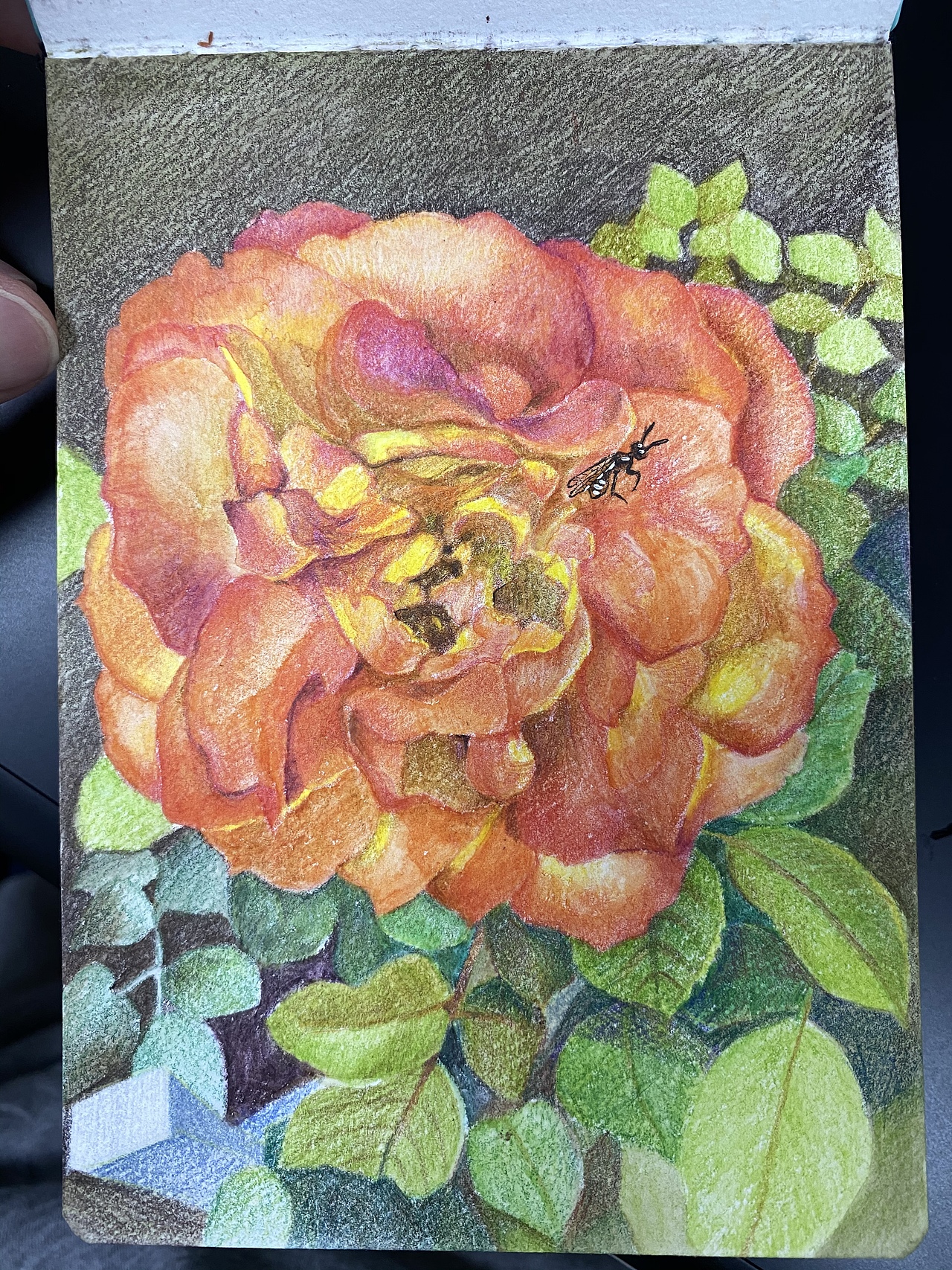 习作（图ZMjM5MDUzODc2） - 创作习作 - 站酷设计师飞飞爱画画11原创素材 - 站酷ZCOOL