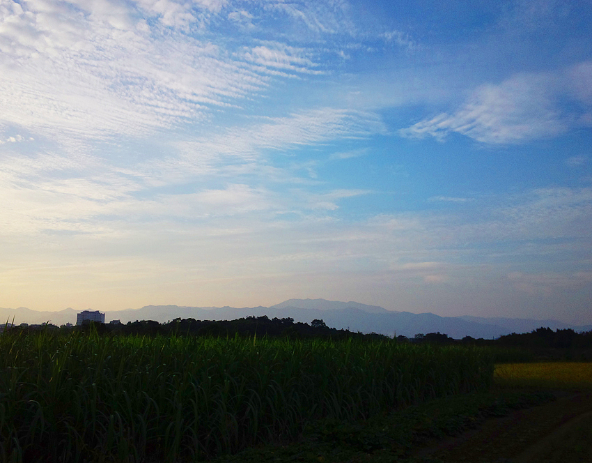 乡秋（图ZMzQ3NzUxNDA=） - 风光摄影 - 站酷设计师yibushiyibu原创素材 - 站酷ZCOOL