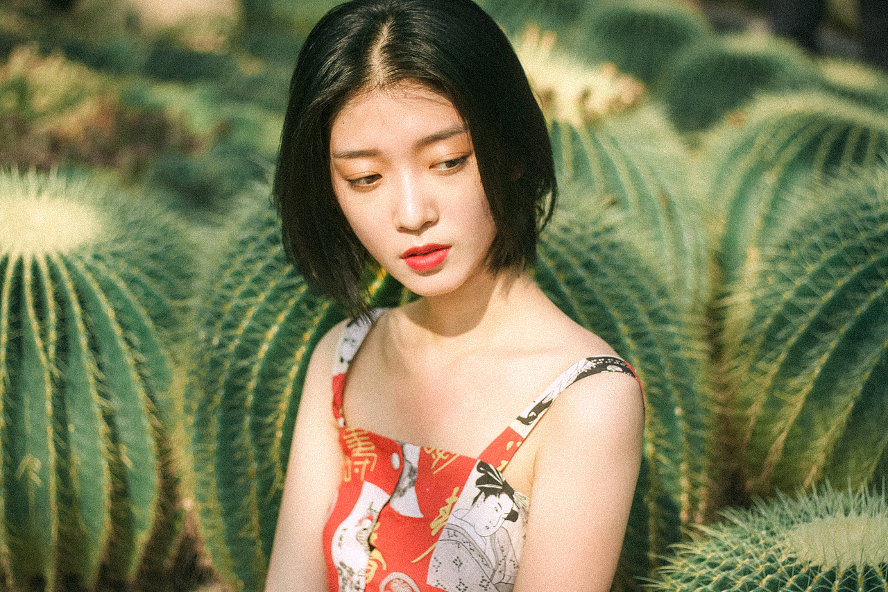 仙人掌（图ZNzg3MzcwMzY=） - 人像摄影 - 站酷设计师L猫不吃鱼原创素材 - 站酷ZCOOL