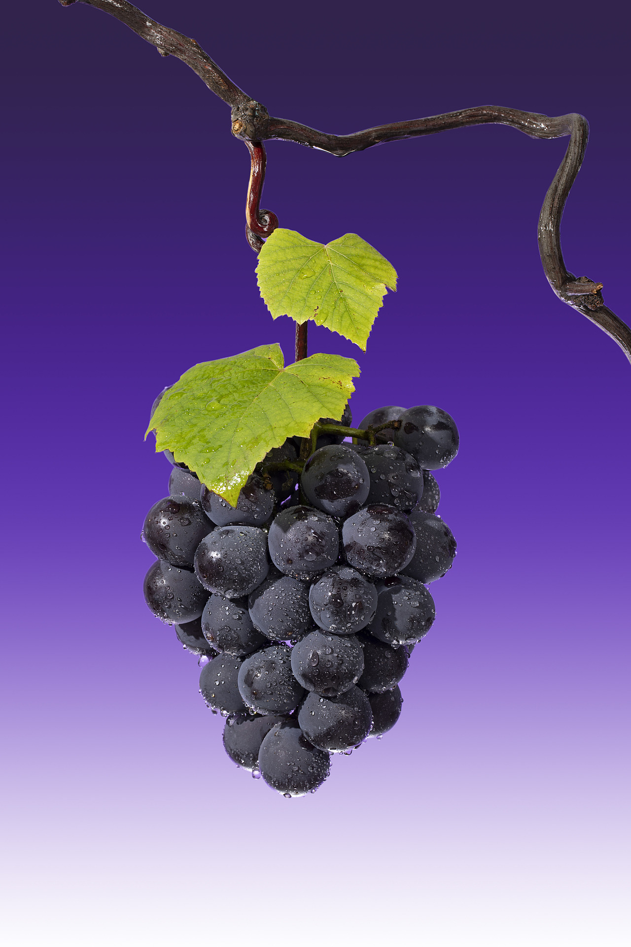 奈雪的茶 | 霸气葡萄