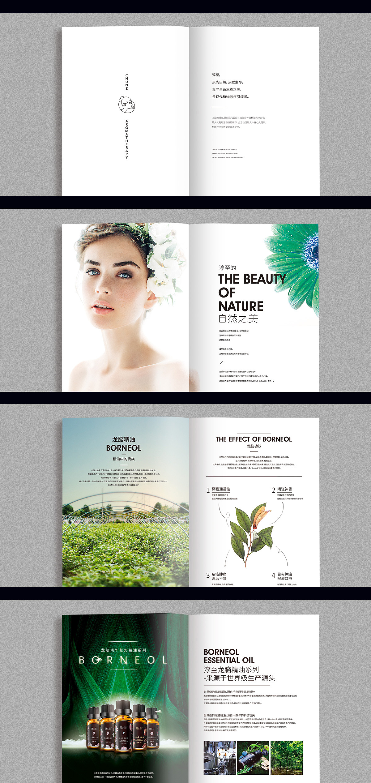 淳至品牌及画册设计-WHK