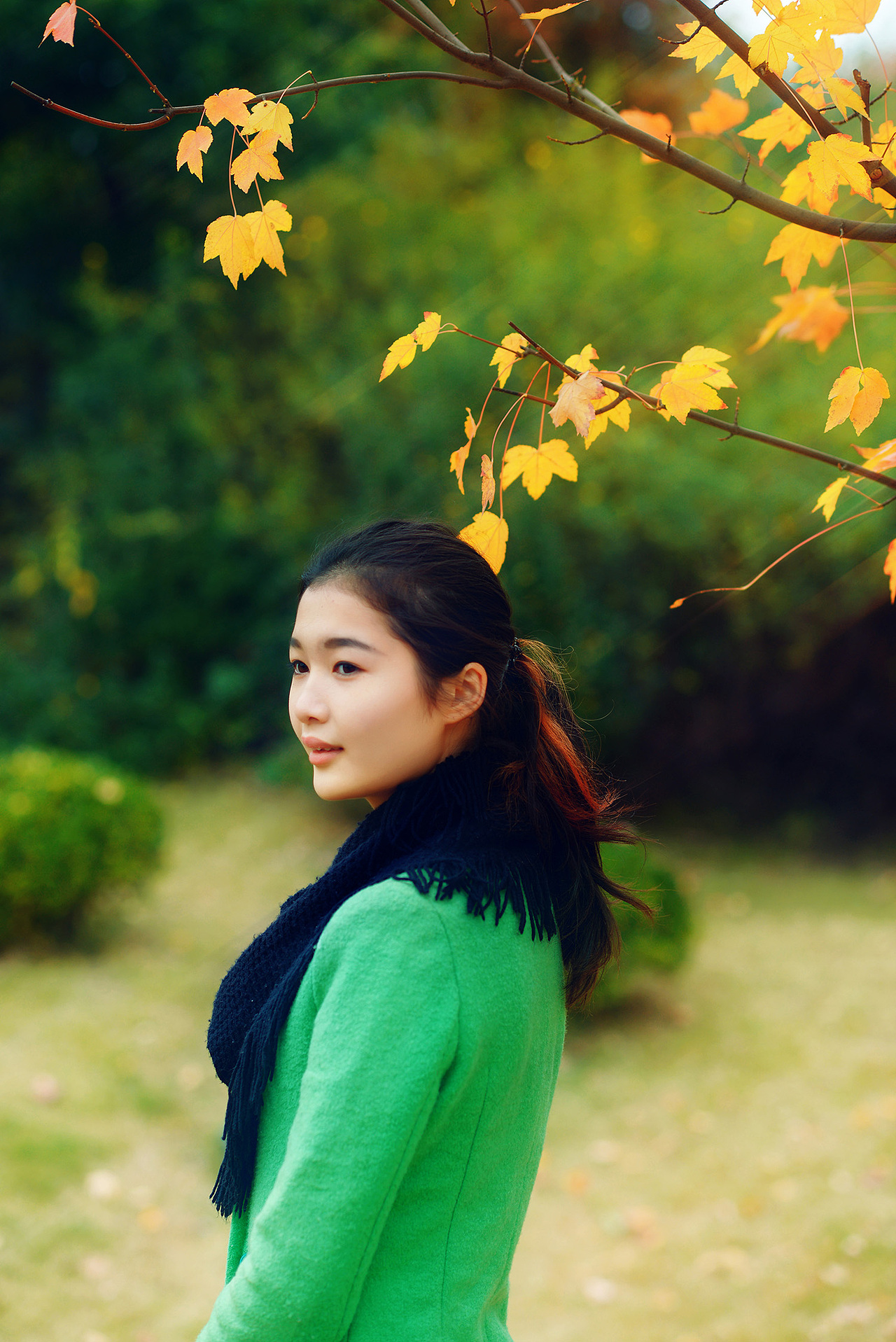 幺四的最后一片枫叶