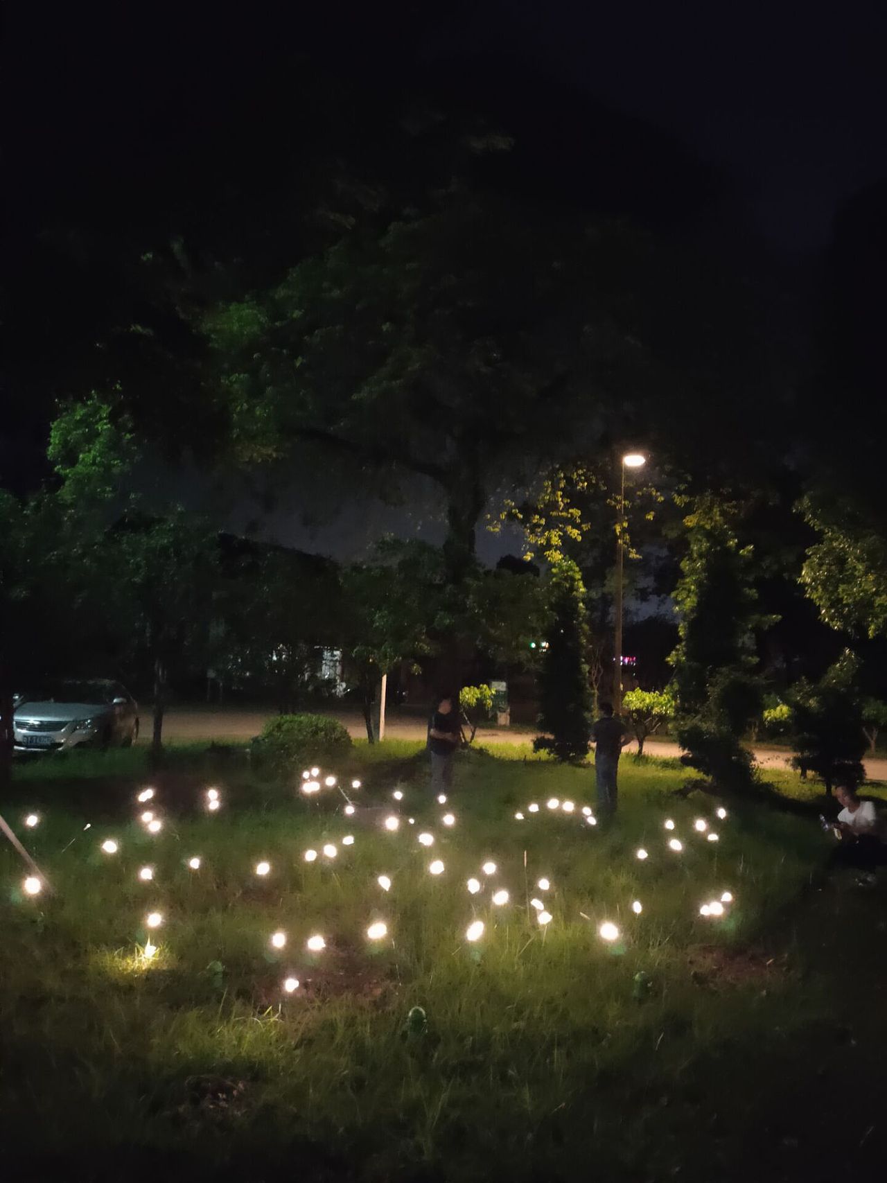 铭星户外装饰灯 LED蝴蝶灯 防水星星灯 草坪景观灯定制