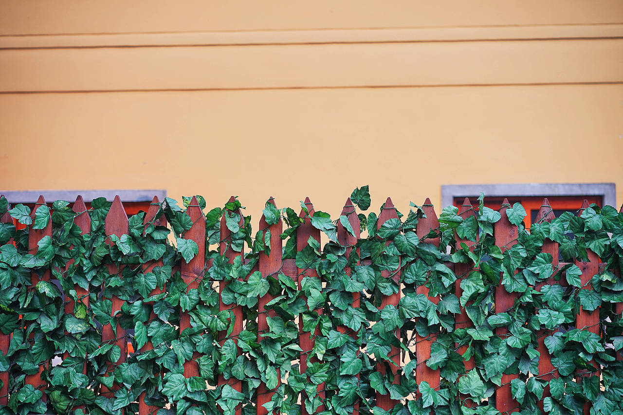 烟雨西湖 阑珊乌镇（图ZMTA3NDQ5MjU2） - 人文/纪实摄影 - 站酷设计师宁月浩然原创素材 - 站酷ZCOOL