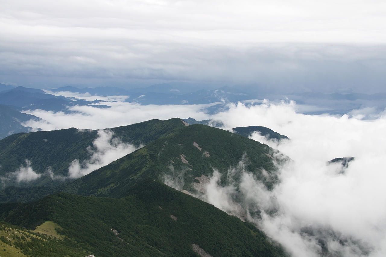 百贤×三足鸟丨有趣的灵魂万里挑一 迷人的果酒无与伦比（图ZMjY3MTY0ODUy） - 文案/策划 - 站酷设计师三足鸟品牌策划原创素材 - 站酷ZCOOL