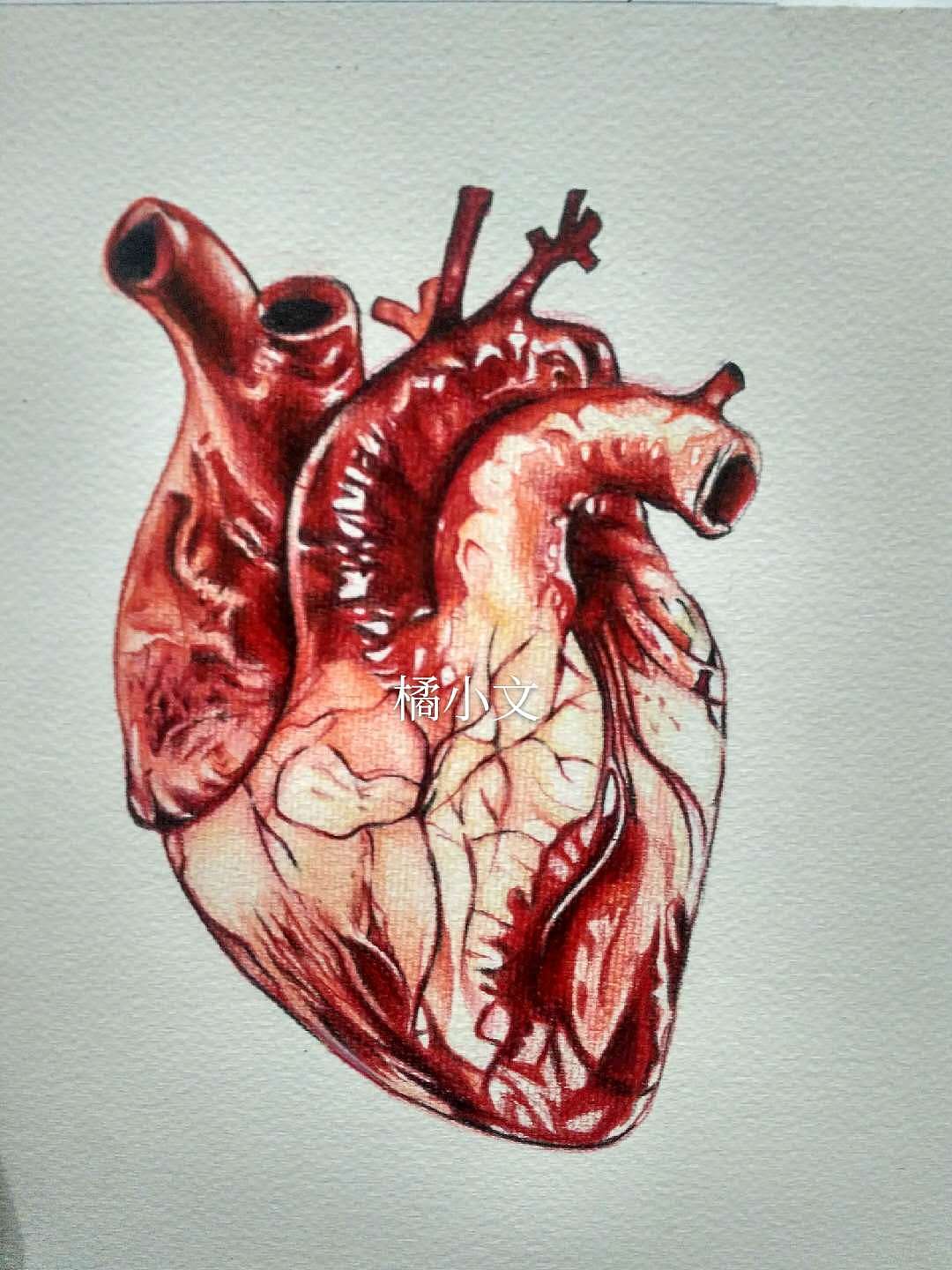 医学生画的心脏图片图片