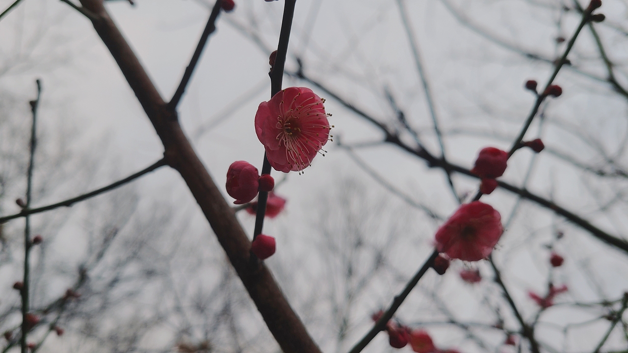 冬日（图ZMjg3MTczODQw） - 风光摄影 - 站酷设计师菲尔拉赫原创素材 - 站酷ZCOOL