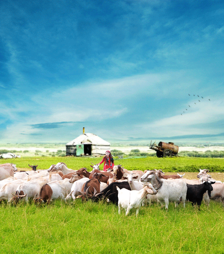 近期几个旅游详情