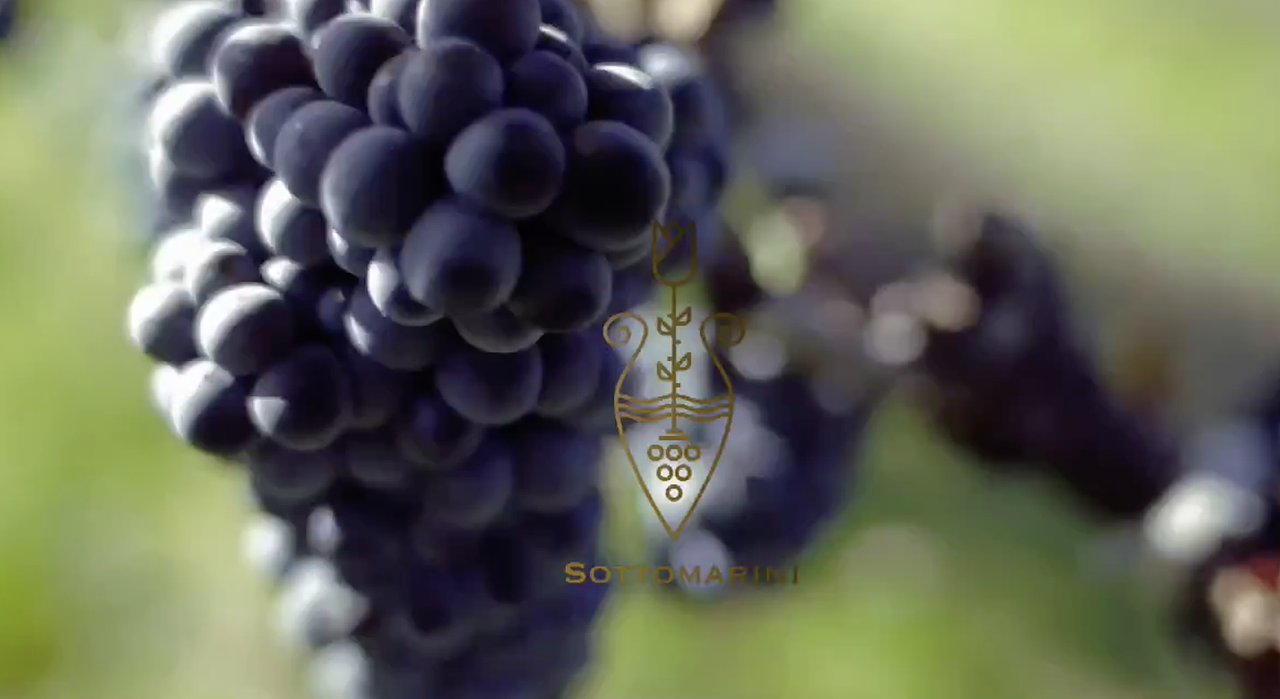 索托玛尼海底玫瑰起泡酒宣传片（图ZMTEzODU4NzY0） - 宣传片 - 站酷设计师Joshsoon原创素材 - 站酷ZCOOL