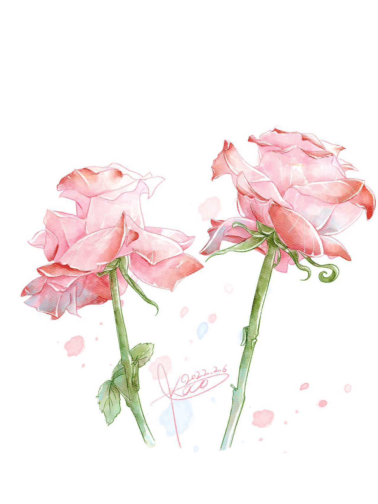 水彩手绘 | 食与花小物